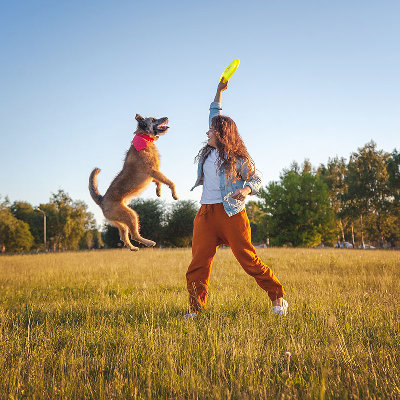 Woman playing frisbee with a dog in a grassy field under a clear blue sky.